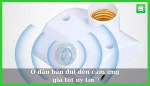 dui den cam ung