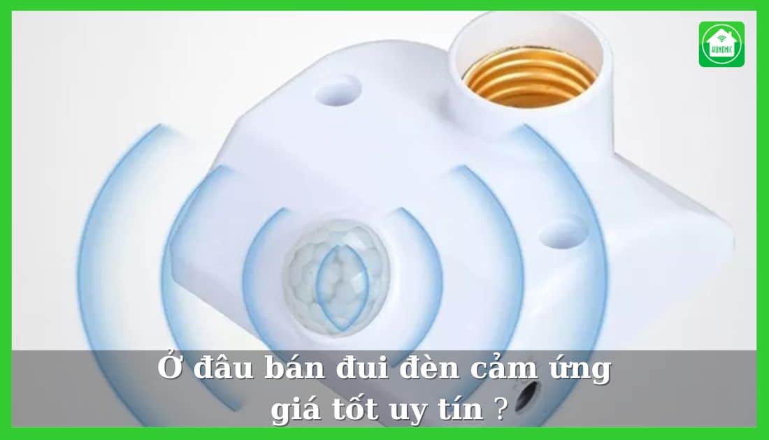 dui den cam ung