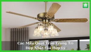 quat tran trang tri thumnail