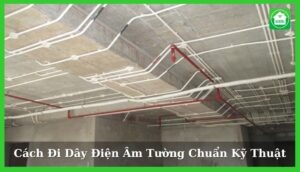 thumnail di day dien am tuong
