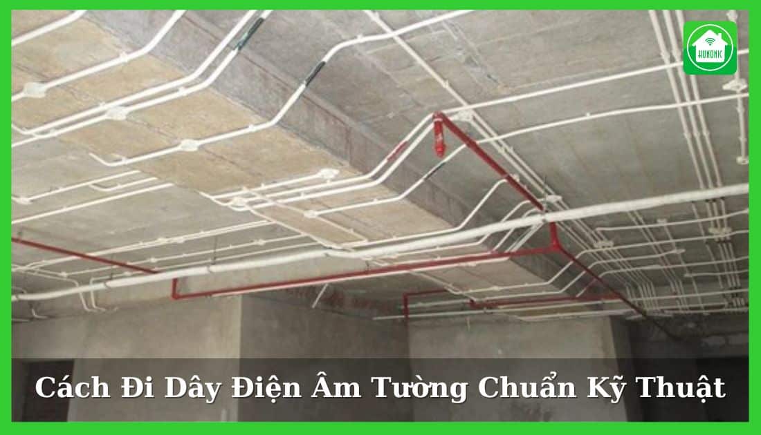 thumnail di day dien am tuong