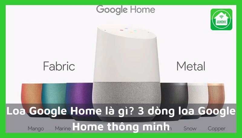 Loa Google Home