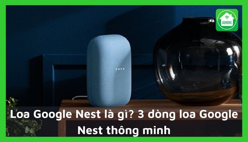 Google Nest
